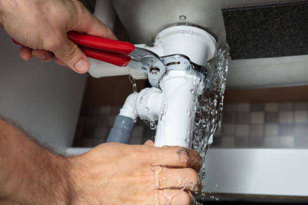 Best Professional water damage repair  in Lexington, NE