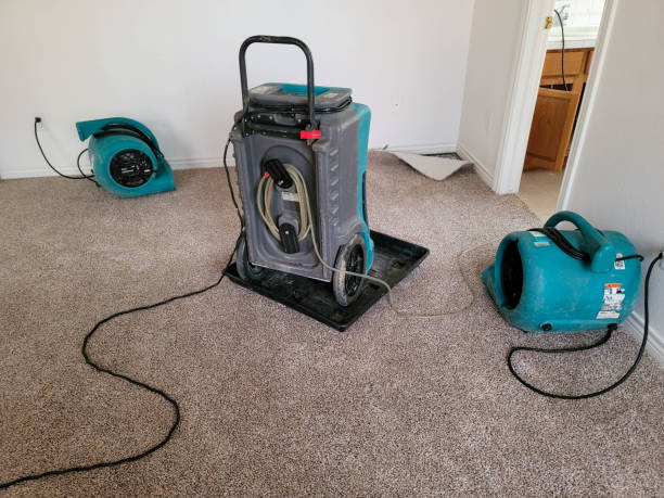 Best Flood damage cleanup  in Lexington, NE