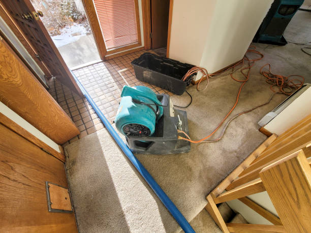  Lexington, NE Water damage restoration Pros