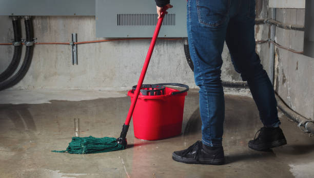 Carpet water damage restoration in NE