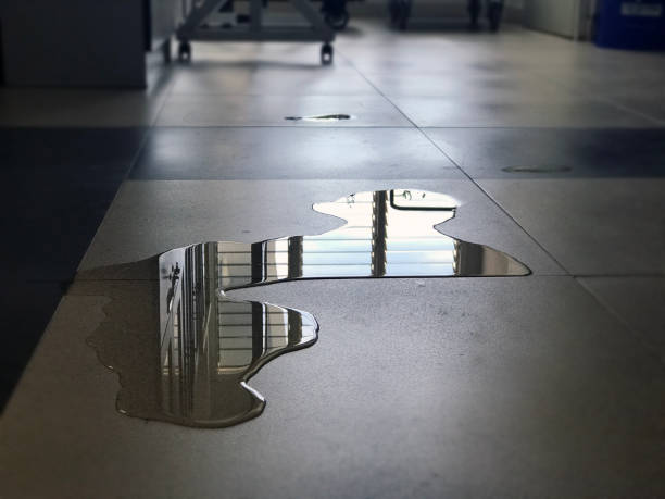 Best Water damage repair service  in Lexington, NE