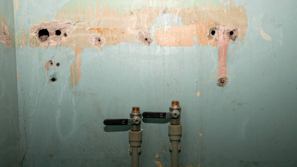 , NE Water damage restoration Company