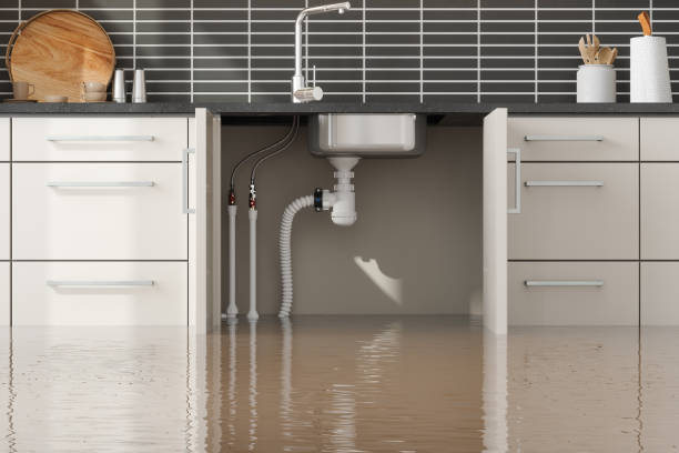 Local water damage restoration