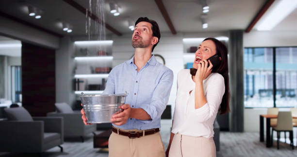 Best Sewage cleanup and water damage restoration  in Lexington, NE